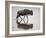 Blue Wildebeest (Brindled Gnu) (Connochaetes Taurinus) in the Water-James Hager-Framed Photographic Print