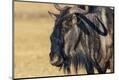 Premium Photographic Print