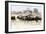 Blue wildebeest , Kgalagadi Transfrontier Park, Kalahari, Northern Cape, South Africa, Africa-Christian Kober-Framed Photographic Print