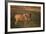 Blue Wildebeest-DLILLC-Framed Photographic Print