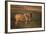Blue Wildebeest-DLILLC-Framed Photographic Print
