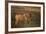 Blue Wildebeest-DLILLC-Framed Photographic Print