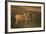 Blue Wildebeest-DLILLC-Framed Photographic Print