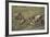 Blue Wildebeests Fighting-DLILLC-Framed Photographic Print