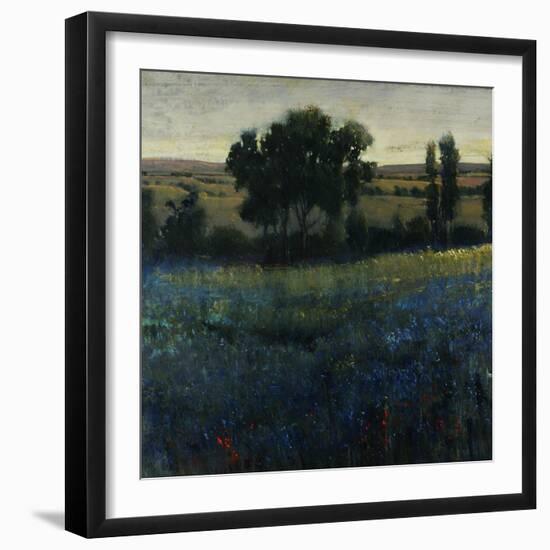 Blue Wildflowers-Tim O'toole-Framed Giclee Print