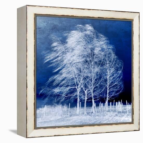 Blue Wind-Philippe Sainte-Laudy-Framed Premier Image Canvas