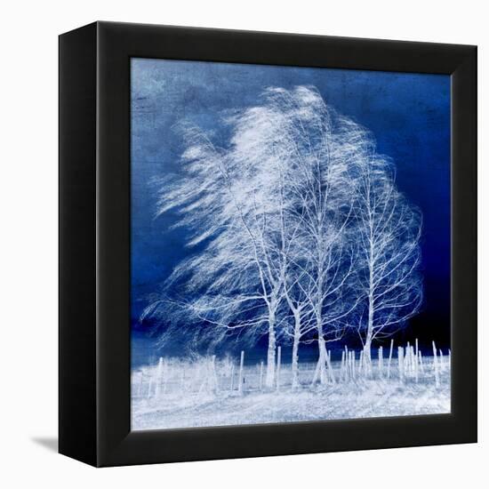Blue Wind-Philippe Sainte-Laudy-Framed Premier Image Canvas