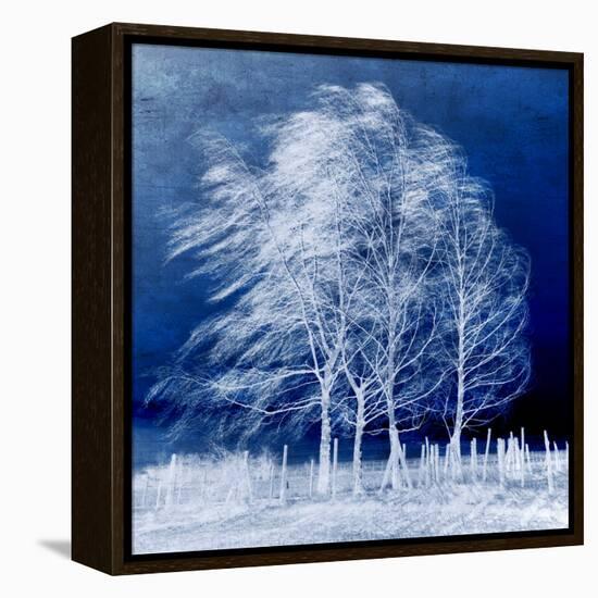 Blue Wind-Philippe Sainte-Laudy-Framed Premier Image Canvas