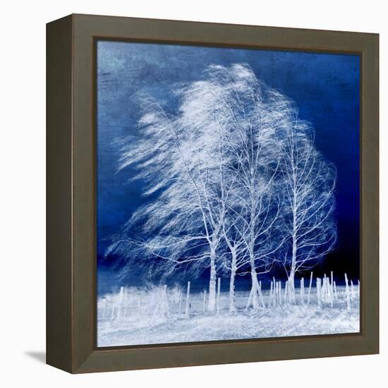 Blue Wind-Philippe Sainte-Laudy-Framed Stretched Canvas