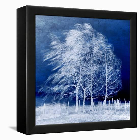 Blue Wind-Philippe Sainte-Laudy-Framed Stretched Canvas
