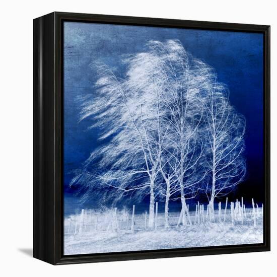 Blue Wind-Philippe Sainte-Laudy-Framed Stretched Canvas