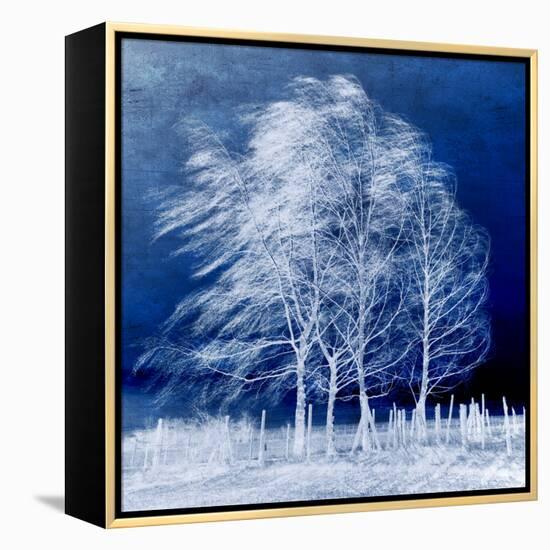 Blue Wind-Philippe Sainte-Laudy-Framed Stretched Canvas