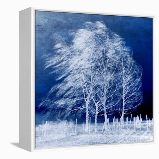 Blue Wind-Philippe Sainte-Laudy-Framed Stretched Canvas