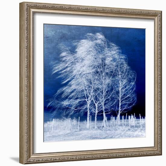 Blue Wind-Philippe Sainte-Laudy-Framed Premium Photographic Print