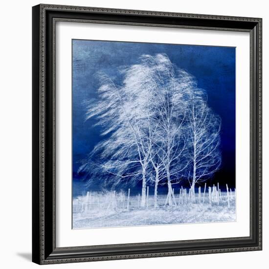 Blue Wind-Philippe Sainte-Laudy-Framed Premium Photographic Print