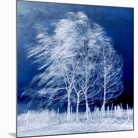 Blue Wind-Philippe Sainte-Laudy-Mounted Premium Photographic Print