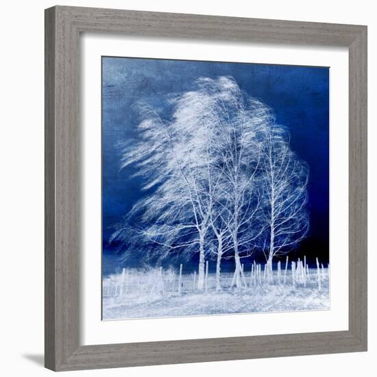 Blue Wind-Philippe Sainte-Laudy-Framed Photographic Print