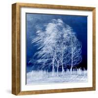 Blue Wind-Philippe Sainte-Laudy-Framed Photographic Print