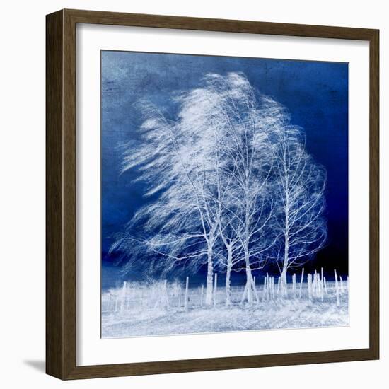 Blue Wind-Philippe Sainte-Laudy-Framed Photographic Print