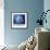 Blue Wind-Philippe Sainte-Laudy-Framed Photographic Print displayed on a wall