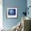 Blue Wind-Philippe Sainte-Laudy-Framed Photographic Print displayed on a wall