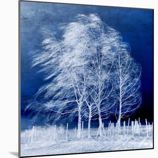Blue Wind-Philippe Sainte-Laudy-Mounted Photographic Print