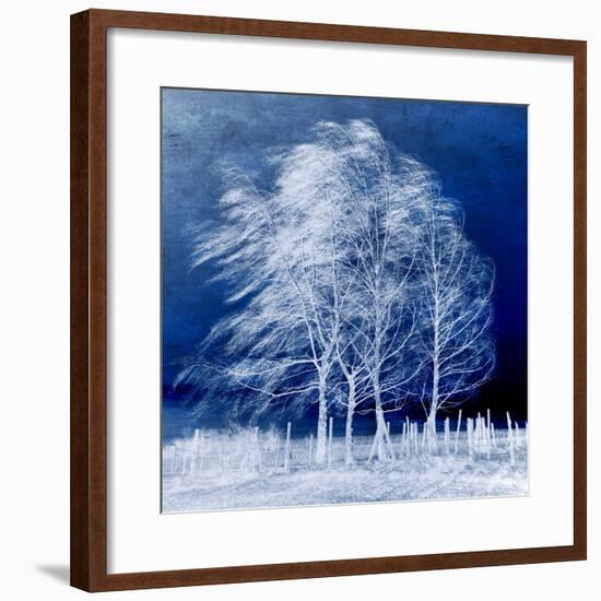 Blue Wind-Philippe Sainte-Laudy-Framed Photographic Print