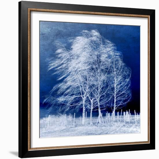 Blue Wind-Philippe Sainte-Laudy-Framed Photographic Print