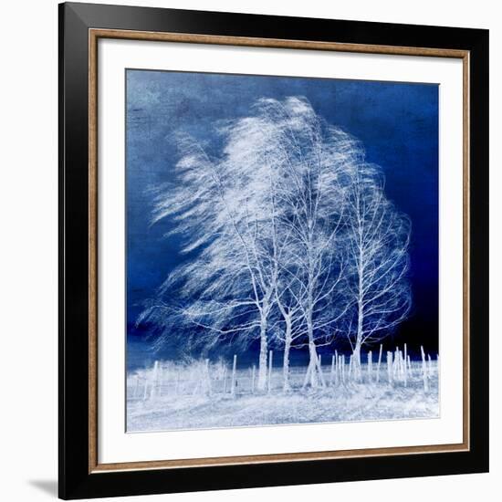 Blue Wind-Philippe Sainte-Laudy-Framed Photographic Print