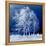 Blue Wind-Philippe Sainte-Laudy-Framed Premier Image Canvas