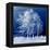 Blue Wind-Philippe Sainte-Laudy-Framed Premier Image Canvas