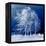 Blue Wind-Philippe Sainte-Laudy-Framed Premier Image Canvas