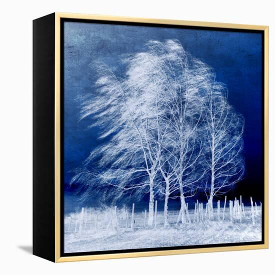 Blue Wind-Philippe Sainte-Laudy-Framed Premier Image Canvas