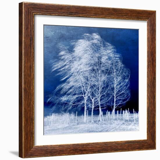 Blue Wind-Philippe Sainte-Laudy-Framed Photographic Print