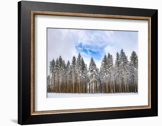 Blue Wink-Philippe Sainte-Laudy-Framed Photographic Print