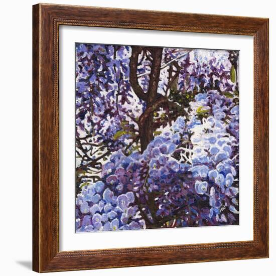 Blue Wisteria, 2012, (Oil on Canvas)-Helen White-Framed Giclee Print