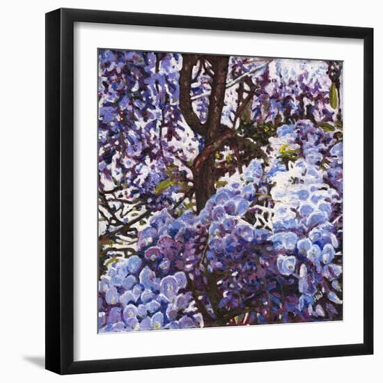 Blue Wisteria, 2012, (Oil on Canvas)-Helen White-Framed Giclee Print