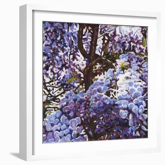 Blue Wisteria, 2012, (Oil on Canvas)-Helen White-Framed Giclee Print