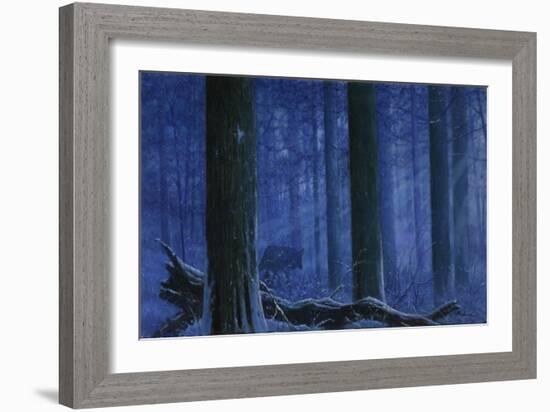 Blue Wolf-Bill Makinson-Framed Giclee Print