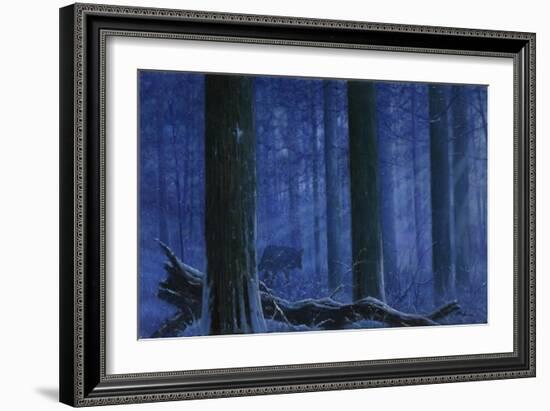 Blue Wolf-Bill Makinson-Framed Giclee Print