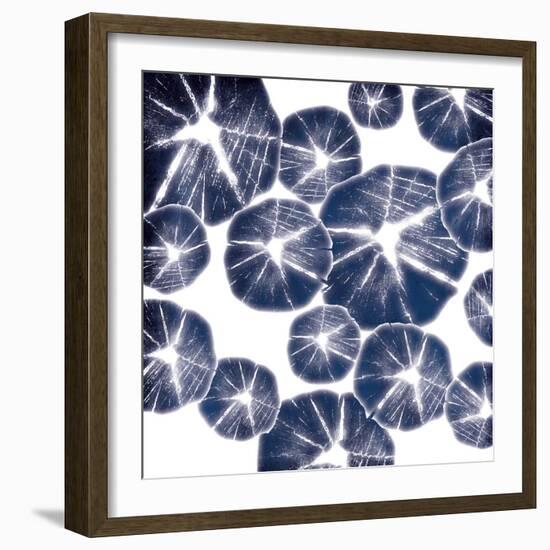 Blue Wood Pile-Jace Grey-Framed Art Print