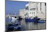 Blue Wooden Boats and Fishing Vessels in the Walled Harbour of Monopoli in Apulia, Italy, Europe-Stuart Forster-Mounted Photographic Print