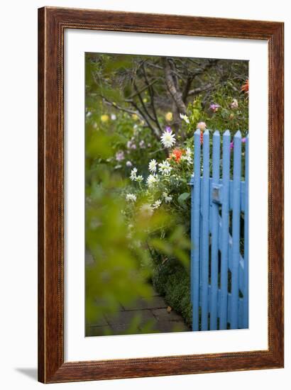 Blue Wooden Door in the Allotment Garden-Brigitte Protzel-Framed Photographic Print