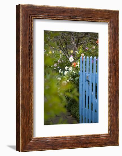 Blue Wooden Door in the Allotment Garden-Brigitte Protzel-Framed Photographic Print