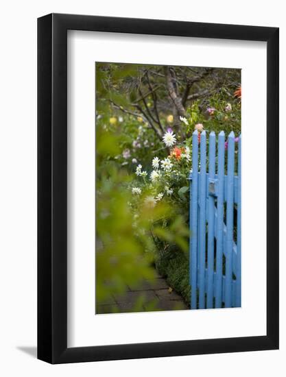 Blue Wooden Door in the Allotment Garden-Brigitte Protzel-Framed Photographic Print