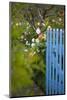 Blue Wooden Door in the Allotment Garden-Brigitte Protzel-Mounted Photographic Print
