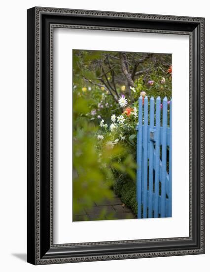 Blue Wooden Door in the Allotment Garden-Brigitte Protzel-Framed Photographic Print