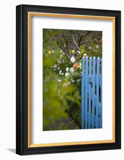 Blue Wooden Door in the Allotment Garden-Brigitte Protzel-Framed Photographic Print