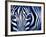 Blue Zebra-Cherie Roe Dirksen-Framed Giclee Print