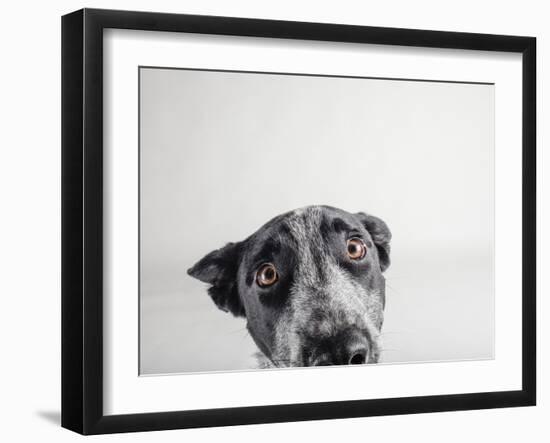 Blue Zuck-Susan Sabo-Framed Photographic Print